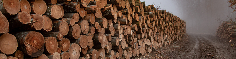 Holz Steiner - Holztransporte | Polterholz
